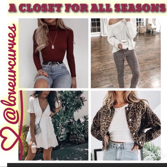 🍁FALL ❄️WINTER 🦋SPRING☀️SUMMER - Picture 1 of 1